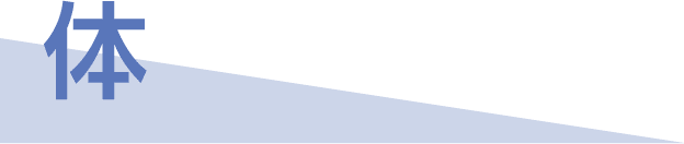 体